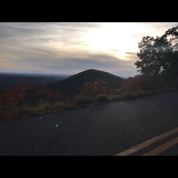 ANYTHING - Picture 2 of 16